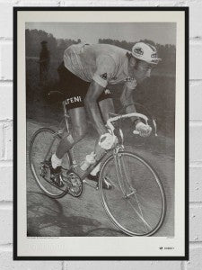 Eddy Merckx print
