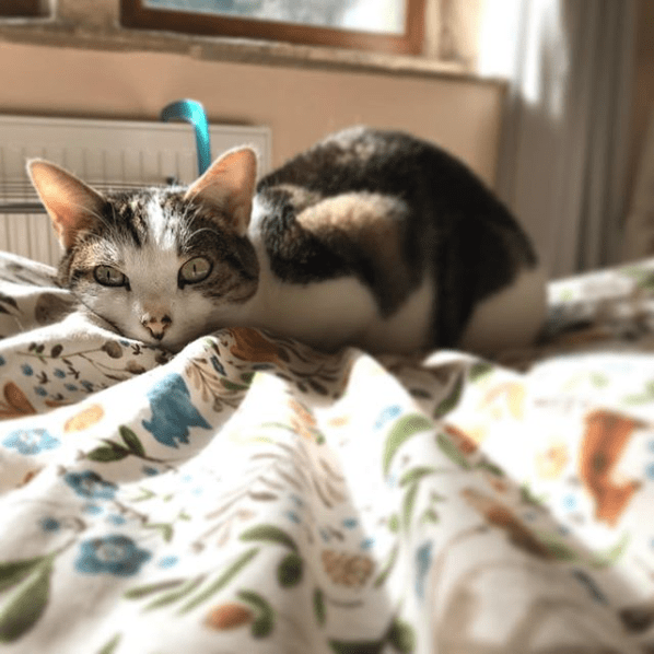 Style Bibles | Check Out Our Top 10 Interior Instagrammers